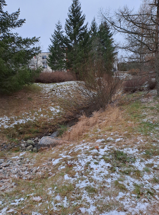 Keskuspuiston hulevesiallas